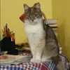 Отзыв от Полина Воронкова